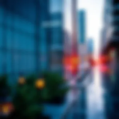 Magnificent Exploring EV Real Estate Brokerage LLC: Insights and Implications