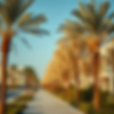 Magnificent The Significance of Acacia in Dubai's Real Estate Landscape Magnificent The Significance of Acacia in Dubai's Real Estate Landscape