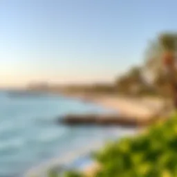 A panoramic view of Albateen Beach showcasing its sandy shoreline and clear waters