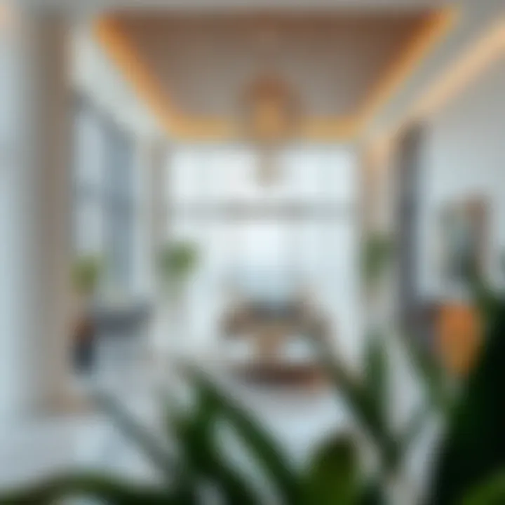 Exploring Sobha Ivory 2: A Visual and Contextual Overview Summary