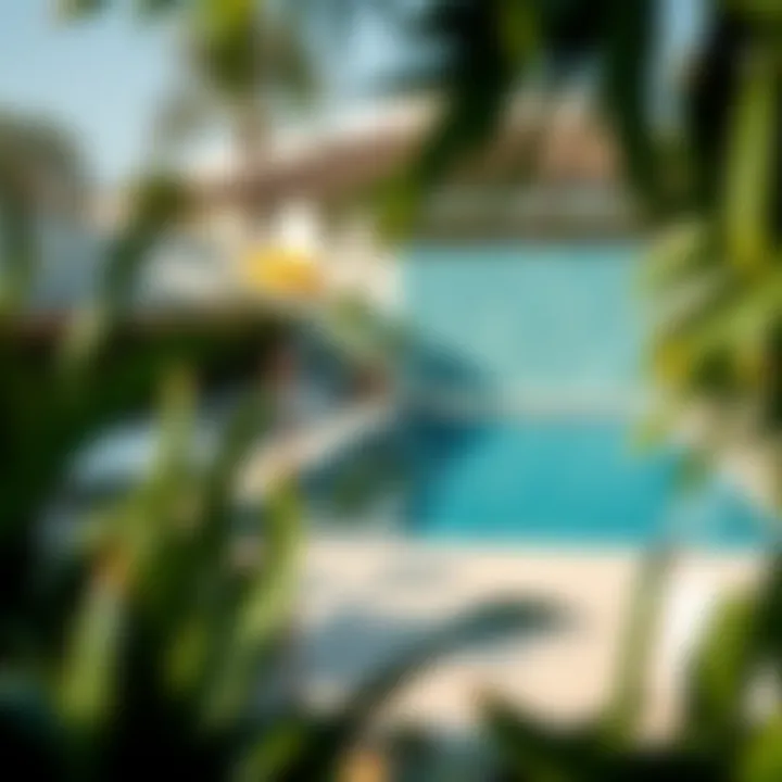 Exploring the Garden Pool in Mushrif: A Comprehensive Guide Summary