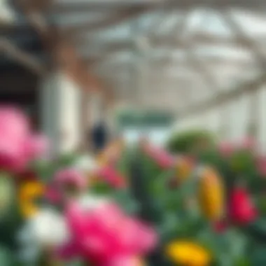 Notable Exploring the Miracle Garden: A Unique Perspective Notable Exploring the Miracle Garden: A Unique Perspective