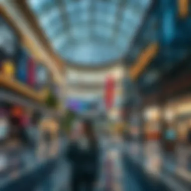 Exploring the Reef Mall: A Multifaceted Perspective Summary Exploring the Reef Mall: A Multifaceted Perspective Summary