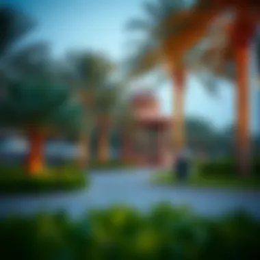 Notable Exploring Umm Emarat Park: A Multifaceted Destination in Dubai Notable Exploring Umm Emarat Park: A Multifaceted Destination in Dubai