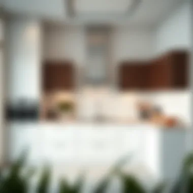 Stylish Unfurnished Kitchen Stylish unfurnished kitchen in Dubai property