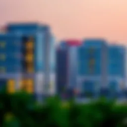 Jabl Ali: A Hub of Opportunity in Dubai's Real Estate Landscape Introduction