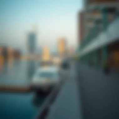 Eligibility Criteria for Dubai Visas An infographic depicting eligibility criteria for Dubai visas