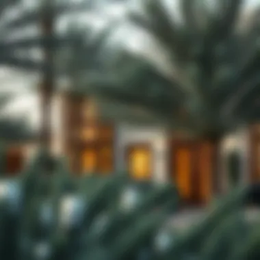 Notable The Significance of Acacia in Dubai's Real Estate Landscape Notable The Significance of Acacia in Dubai's Real Estate Landscape