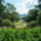 A serene view of Towayya Park showcasing lush greenery and walking paths