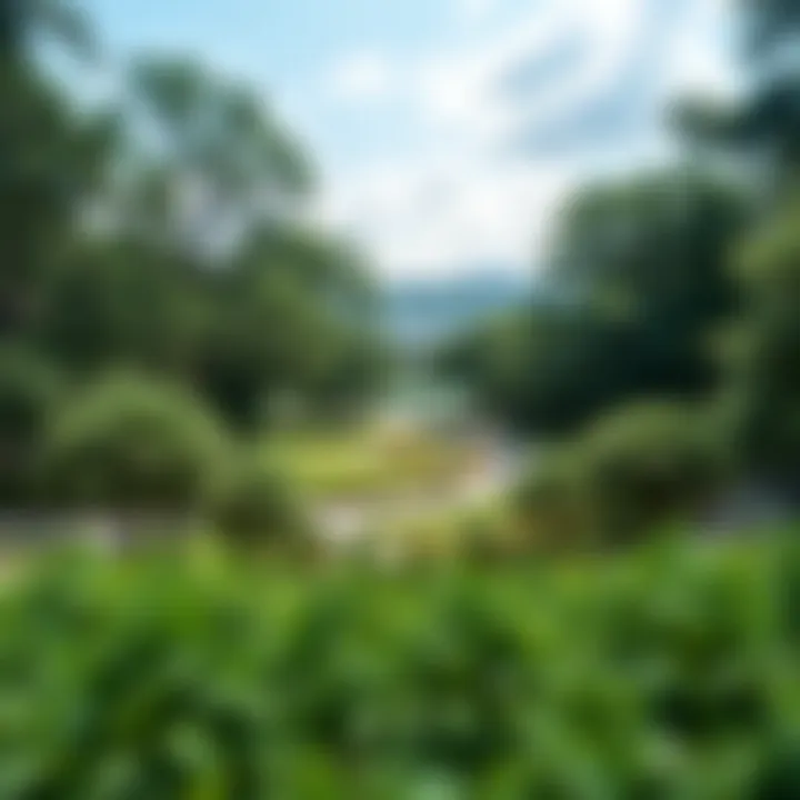 A serene view of Towayya Park showcasing lush greenery and walking paths