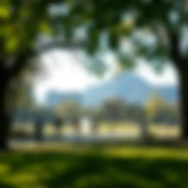 Recreational Activities in Towayya Park Visitors enjoying recreational activities in the park's open spaces