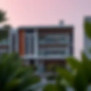 Understanding Ownership in Dubai's Real Estate Market Summary Understanding Ownership in Dubai's Real Estate Market Summary