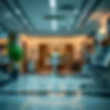 Understanding the Department of Health License Requirements in Dubai Introduction