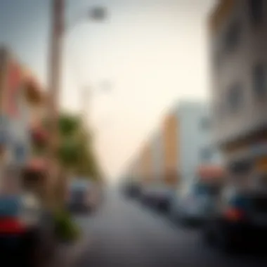 Understanding the Postal Code of Frij Al Murar: Insights into Dubai's Community Summary Understanding the Postal Code of Frij Al Murar: Insights into Dubai's Community Summary